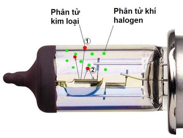 Đèn Halogen.