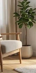 Đặt cây nước nóng lạnh thông thoáng giúp máy vận hành tiết kiệm điện hiệu quả